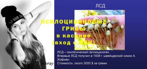 шишки Армянск