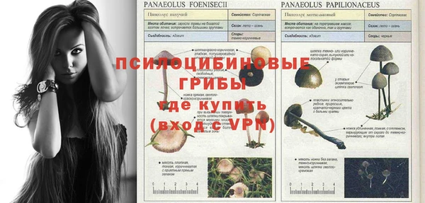шишки Армянск