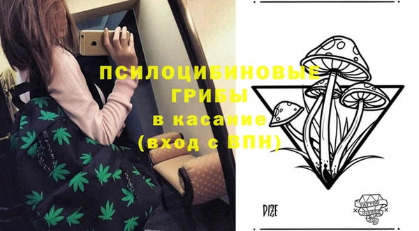 меф Арсеньев
